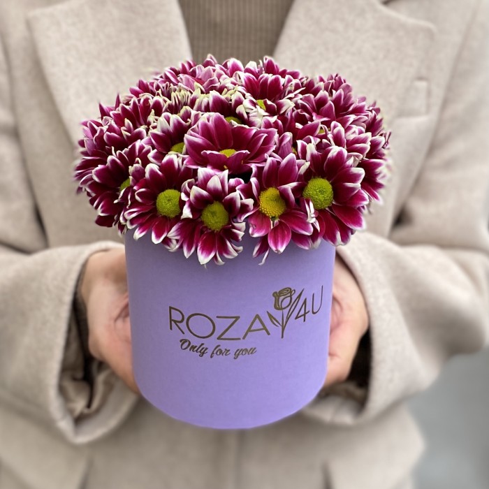 Кустовые хризантемы Хайдар Пинк в коробке