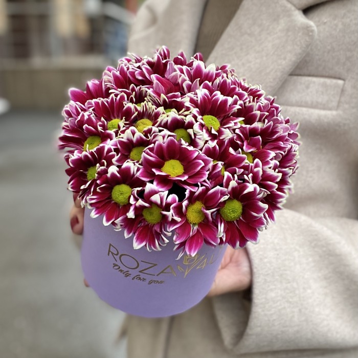 Кустовые хризантемы Хайдар Пинк в коробке