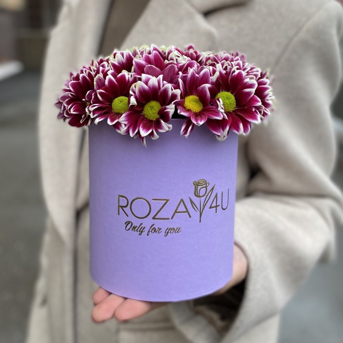 Кустовые хризантемы Хайдар Пинк в коробке