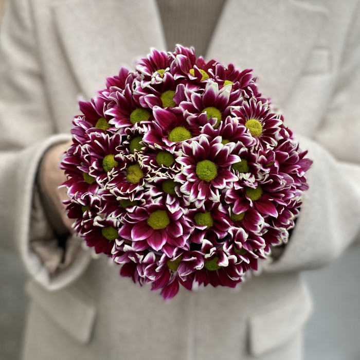 Кустовые хризантемы Хайдар Пинк в коробке