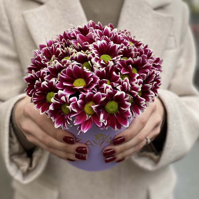 Кустовые хризантемы Хайдар Пинк в коробке