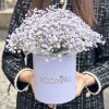 Лавандовая гипсофила в коробке