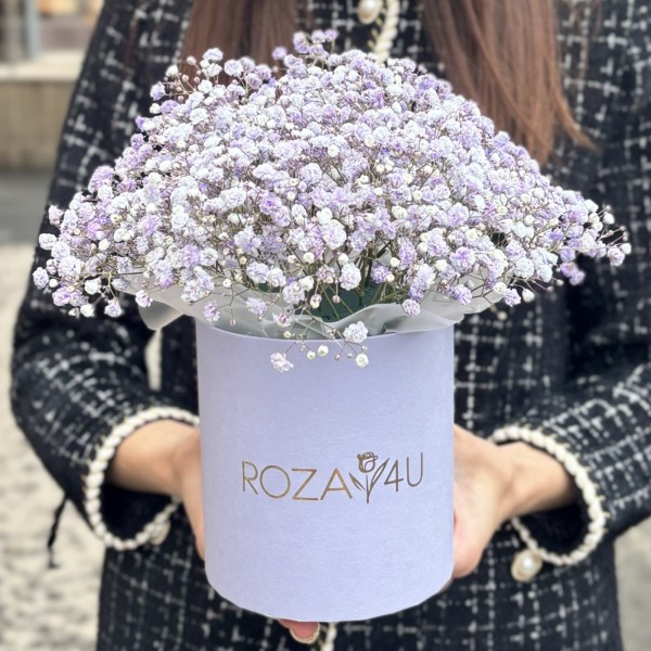 Лавандовая гипсофила в коробке