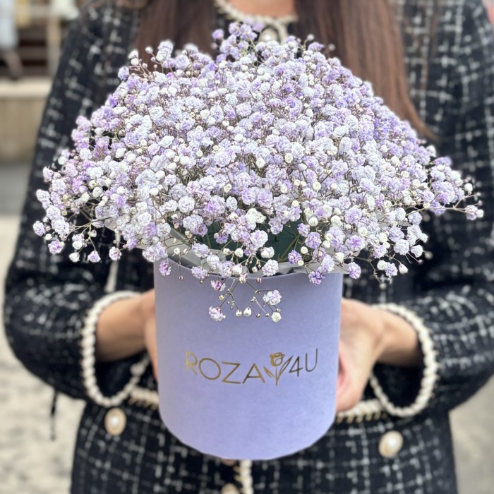 Лавандовая гипсофила в коробке