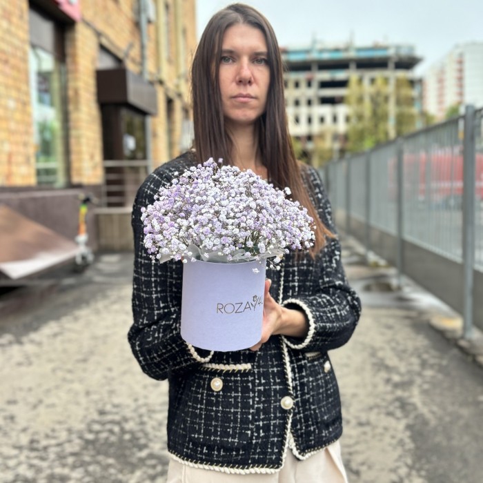 Лавандовая гипсофила в коробке