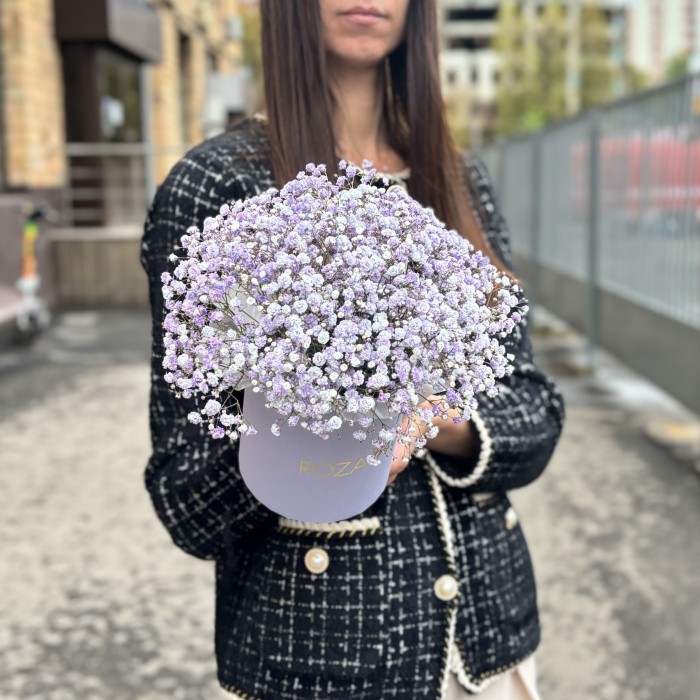 Лавандовая гипсофила в коробке