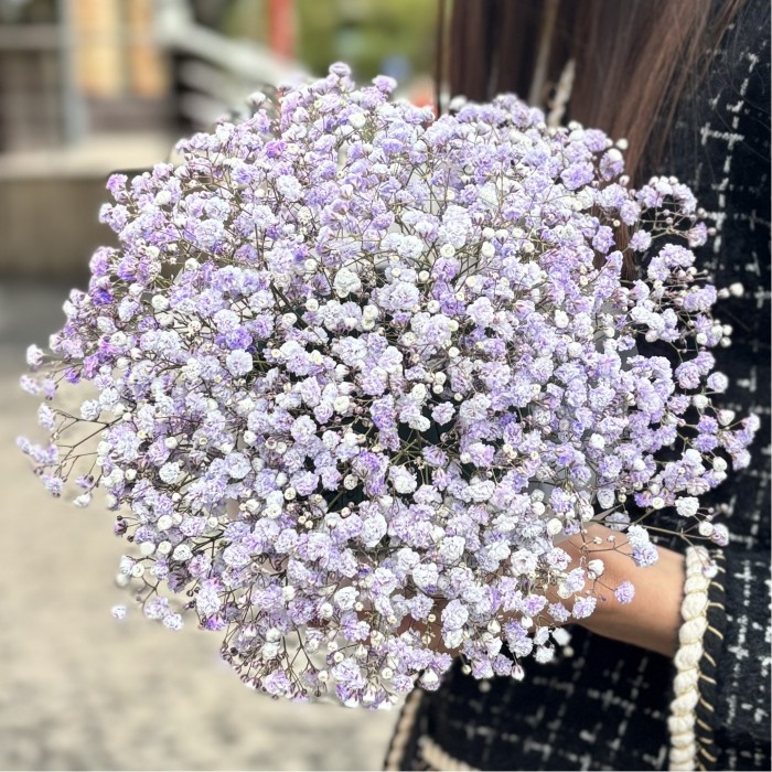 Лавандовая гипсофила в коробке