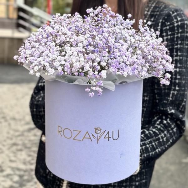 Лавандовая гипсофила в лиловой коробке