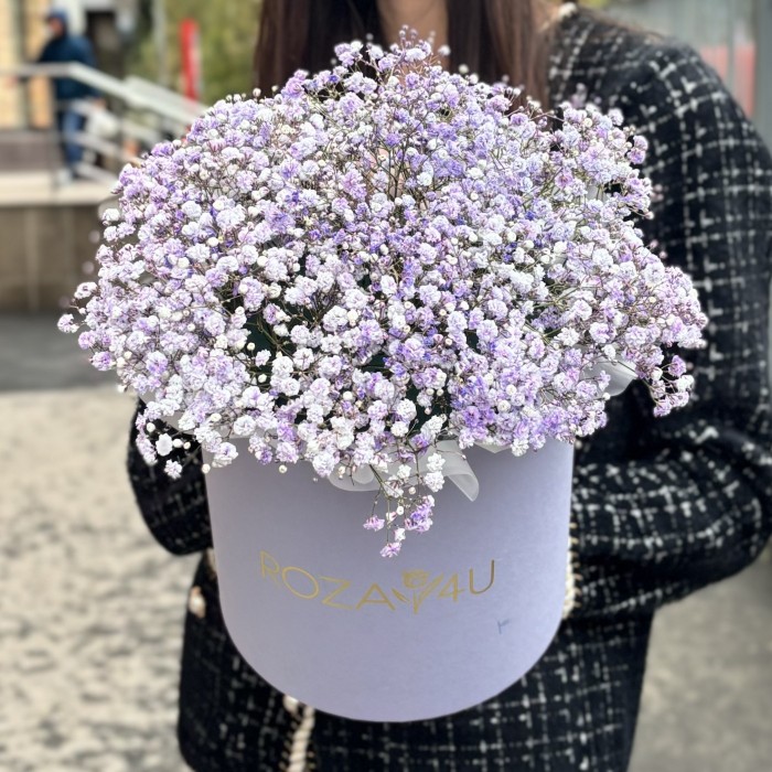 Лавандовая гипсофила в лиловой коробке