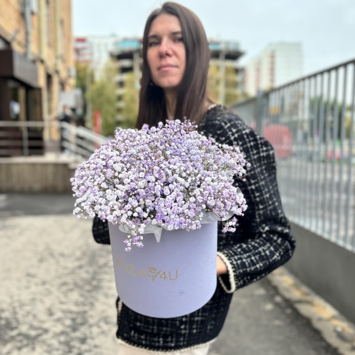 Лавандовая гипсофила в лиловой коробке