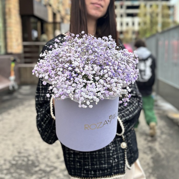 Лавандовая гипсофила в лиловой коробке