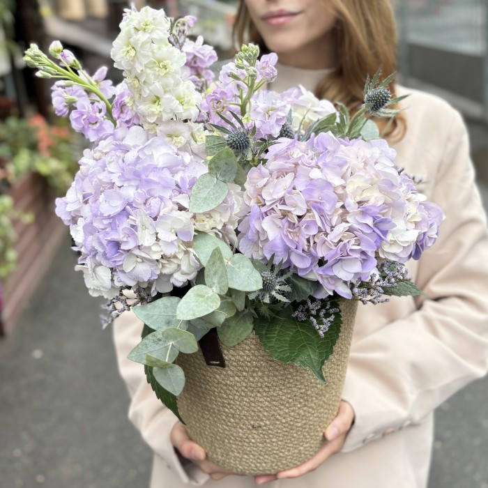 Лавандовая гортензия с маттиолой в кашпо