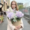 Лавандовая гортензия с маттиолой в кашпо