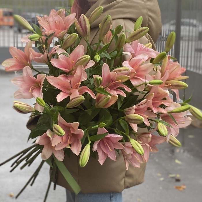 Лилия Азиатка Розовая