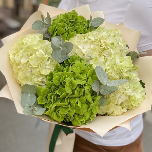 Микс из 5 зеленых гортензий с эвкалиптом