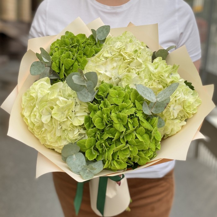 Микс из 5 зеленых гортензий с эвкалиптом