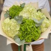 Микс из 5 зеленых гортензий с эвкалиптом