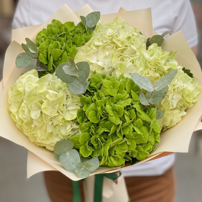 Микс из 5 зеленых гортензий с эвкалиптом