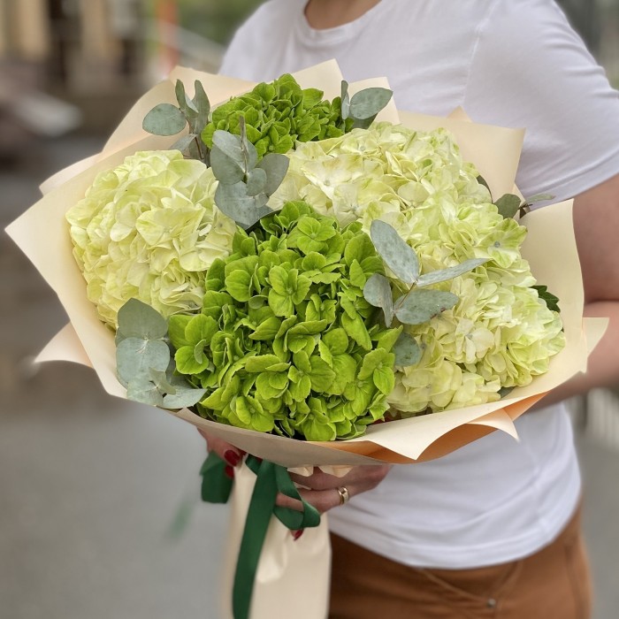 Микс из 5 зеленых гортензий с эвкалиптом