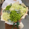 Микс из 5 зеленых гортензий с эвкалиптом