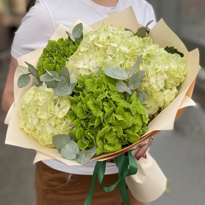 Микс из 5 зеленых гортензий с эвкалиптом