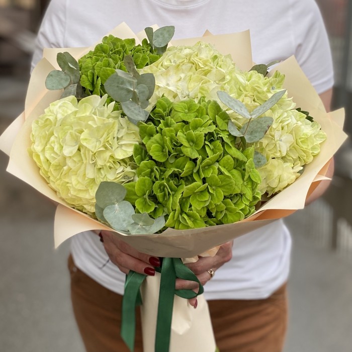 Микс из 5 зеленых гортензий с эвкалиптом