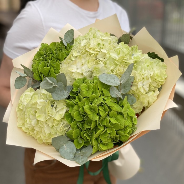 Микс из 5 зеленых гортензий с эвкалиптом