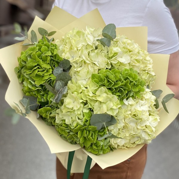 Микс из 7 зеленых гортензий с эвкалиптом