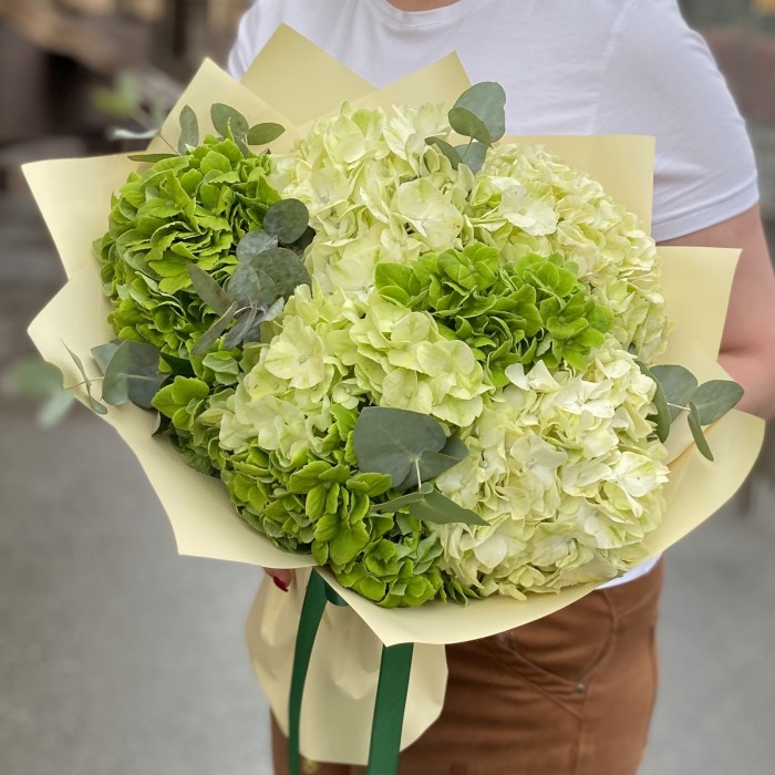 Микс из 7 зеленых гортензий с эвкалиптом