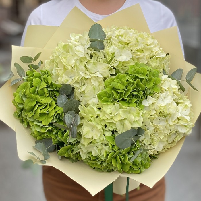 Микс из 7 зеленых гортензий с эвкалиптом