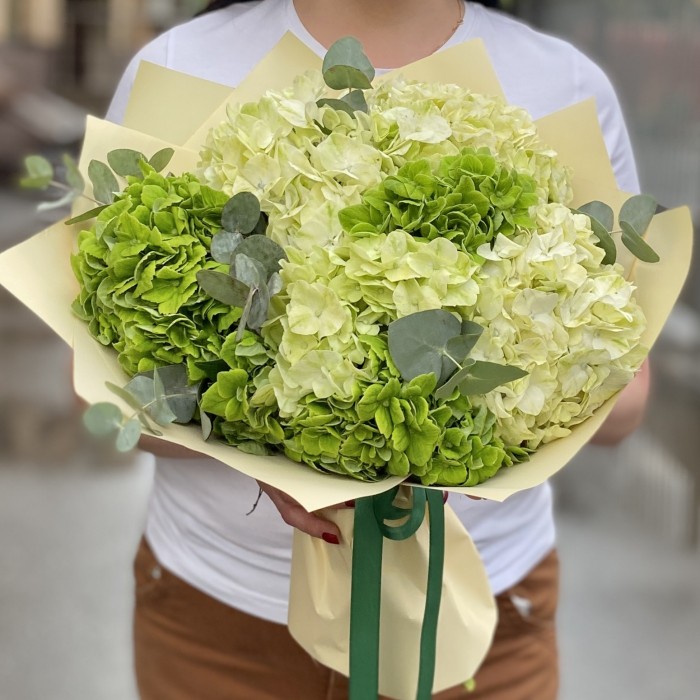 Микс из 7 зеленых гортензий с эвкалиптом