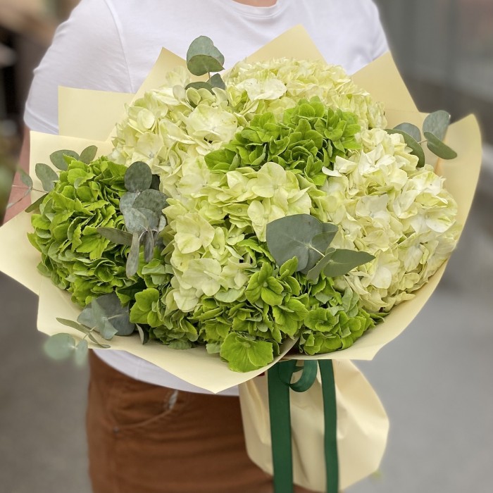 Микс из 7 зеленых гортензий с эвкалиптом