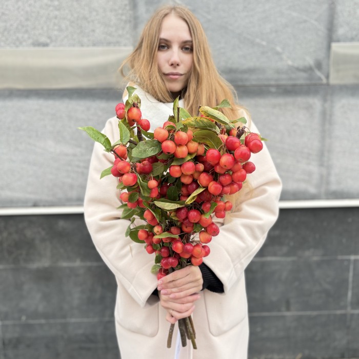 Малус декоративные яблочки