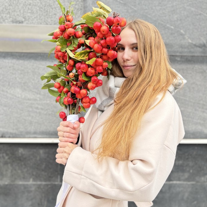 Малус декоративные яблочки