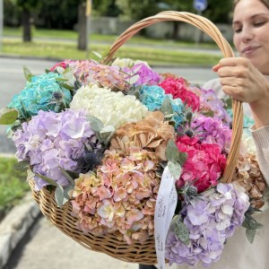 Микс гортензий в корзине