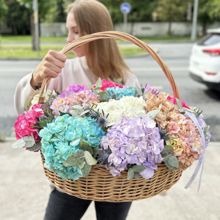 Микс гортензий в корзине