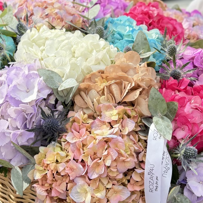 Микс гортензий в корзине