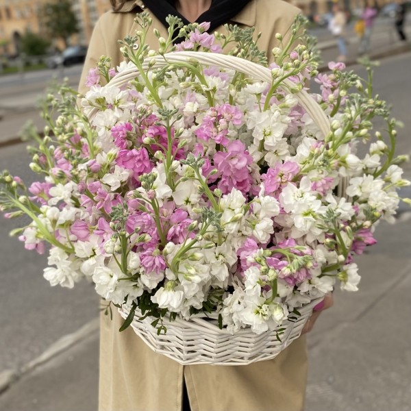 51 ароматная маттиола в корзине