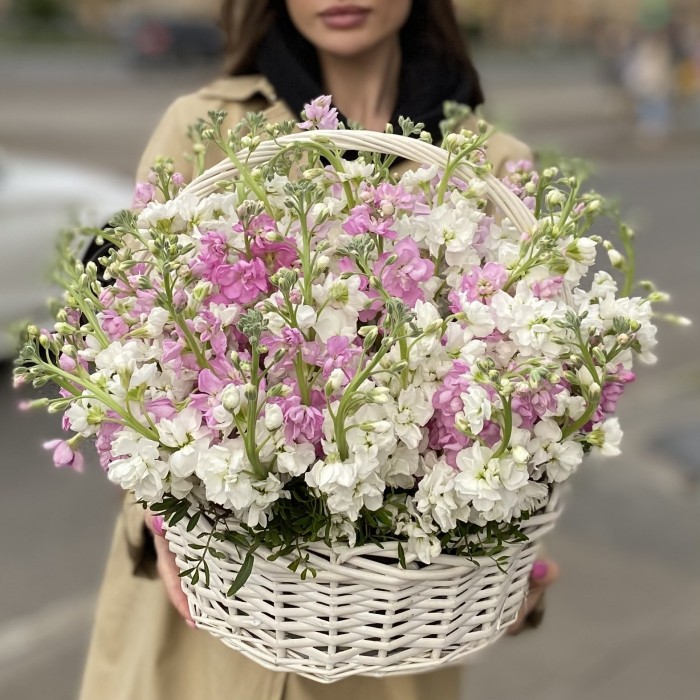 51 ароматная маттиола в корзине