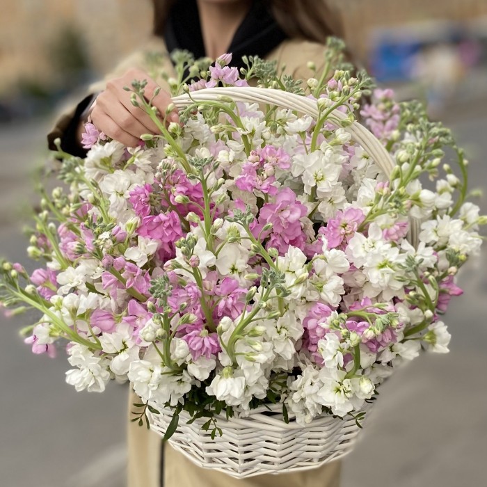 51 ароматная маттиола в корзине