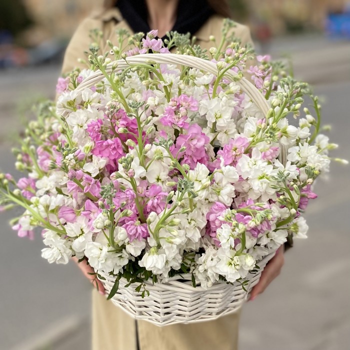 51 ароматная маттиола в корзине