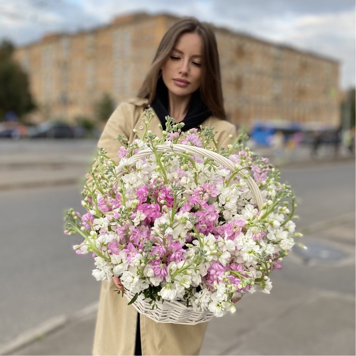 51 ароматная маттиола в корзине