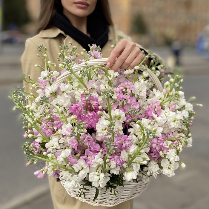 51 ароматная маттиола в корзине