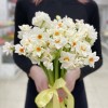 Нарцисс белый кустовой