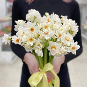 Нарцисс белый кустовой Нарцисс белый кустовой