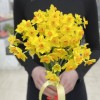 Нарцисс желтый кустовой