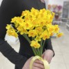 Нарцисс желтый кустовой