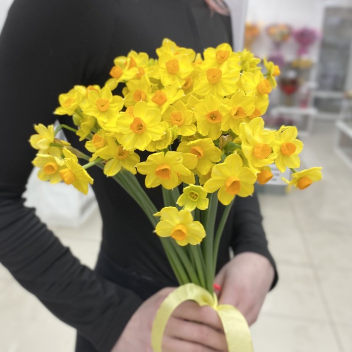 Нарцисс желтый кустовой