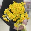 Нарцисс желтый кустовой