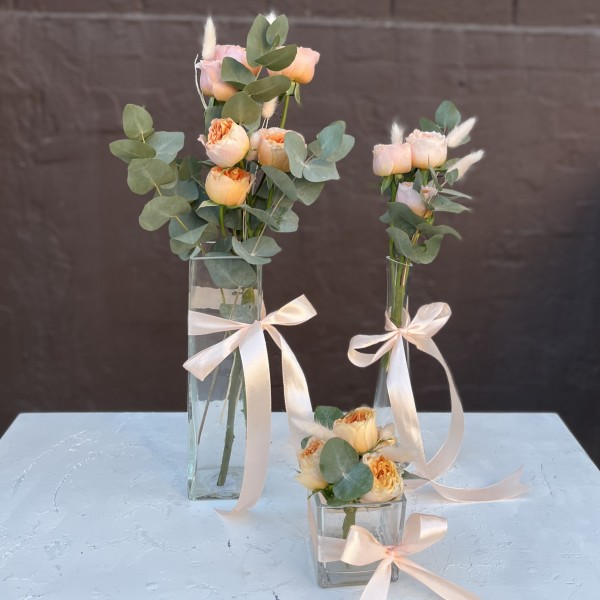 Настольный набор Коралловый Риф